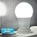 2-PACK 11W Dimmable LED A19 Bulb, 75W Incandescent Equivalent ENERGY STAR UL-listed Omnidirectional A19 Light Bulb, E26 Base 1100lm Coo White 5000K Daylight, 300 Degree Beam Angle for General Lighting