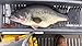 BiCO Original Jig Non Lead Bass Jigs (Black & Blue)