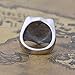 Silver Cool Gothic Lion Sheild Stainless Steel Mens Womens King Crown Ring