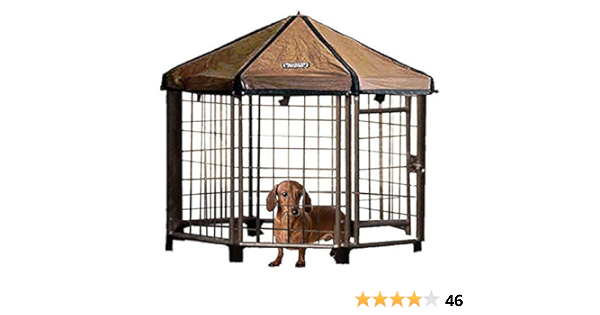 outdoor dog gazebo