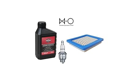 Rasenmäher Set Öl Briggs & Stratton SAE30 0,6 Liter + Zündkerze Champion RJ 19 LM + Luftfilter Briggs & Stratton