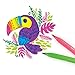 Ooly Big Bright Brush Markers - Set of 18