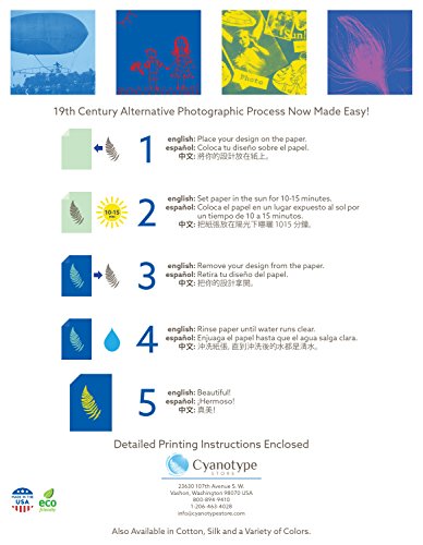 Cyanotype 8" x 10" Paper - 12 pack (Mixed)