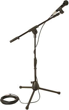 kids microphone and stand