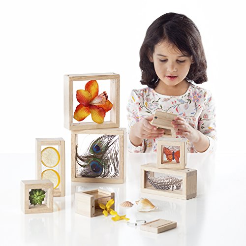 Guidecraft Treasure Blocks Clear Smooth Wooden Observation Stacking