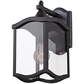 Kalco 404520AI Lakewood Outdoor Wall Sconce, 1-Light 60 Watts, Aged Iron