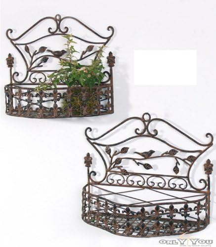 Wandregal "Avis" - Eisen H 34cm: Amazon.de: Küche & Haushalt