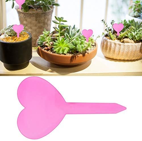 Jeffergarden 10Pcs Etiquetas de Plantas en Forma de corazón Flor a ...