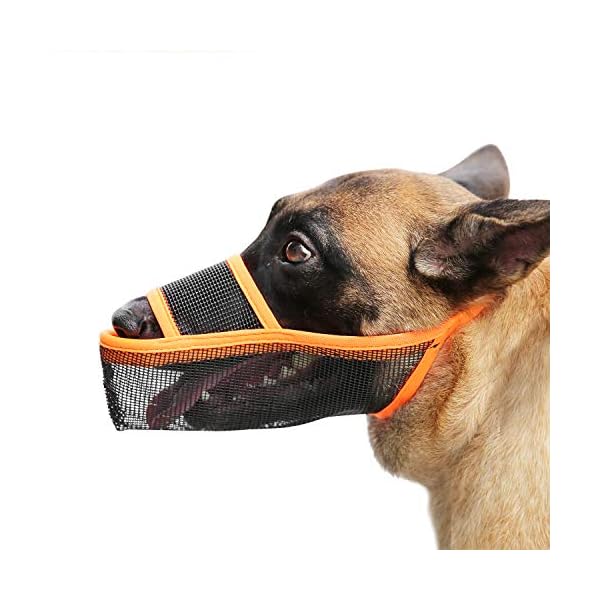 air muzzle for dogs