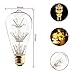 KINGSO Vintage Edison LED Bulb Bright Starry Style Romantic Fireworks Squirrel Cage Light Bulbs, 3W, 2700K, 85~265V, Warm Color, E26/E27 Medium Screw Base, ST64 Antique Shape (6 Pack)