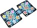 Dance Maker 2 Electronic Double Dancing Mat Dance Diva