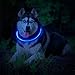 LED Dog Necklace Collar,USB Rechargeable Safety Waterproof Light up Adjustable Flashing Pet Neck Loop by fashion&cool