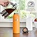 Healthy Human Stainless Steel Water Bottle | Double Walled Vacuum Insulated Water Thermos for Adults | Eco-Friendly Travel Bottles with Leak Proof Lid (Orange Sherbet, 21 oz/ 621 ML)