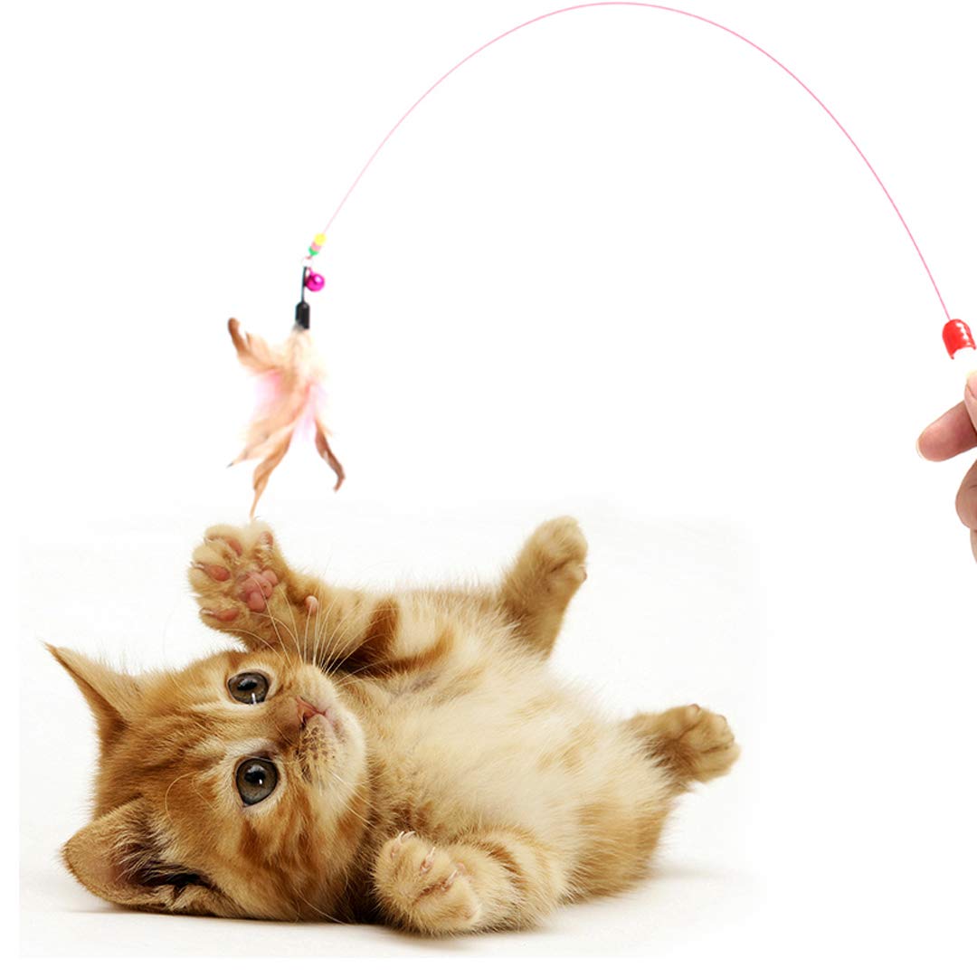 DIGIFLEX Cats Bouncy Rod with Bell and Feathers 36" - Interactive Playing Teaser Toys for Cats & Kittens