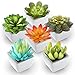 Mini Fake Succulents Artificial Plants X Large Shoe Organizer Storage Boxes for Closet, Modular Space Saving Shoe Boxes Clear Plastic Stackable Sneaker Containers Display Case with Lids, Gray