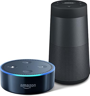 connect echo dot to bose speaker