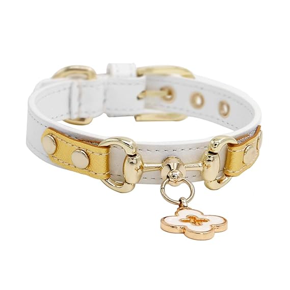 GWM Handgefertigte Luxus Echtleder Hundehalsband in Weiß und Gold, dauerhaft und robust, wetterfest und wasserdicht, Hals 20c