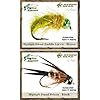Top-Selling-Flies-Guides-TOP-Assortment-NORTHEAST-31-flies