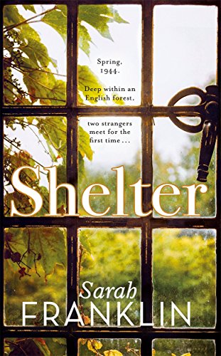 Shelter: `One of the year's hottest debuts' by (Hardcover)