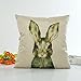 Ninasill Cute Colorful Animal Pillow Case 45cm45cm/1818 Pillow Case (beige 6)