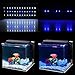 Deckey White+ Blue Aquarium Fish Tank LED Light Universal Extendable Bracket LED Fish Lamp
