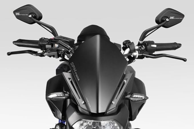 Mt 07 Fz07 14 17 Windschutzscheibe Warrior R 0738b Aluminium Windschild Windabweiser Scheibe Hardware Bolzen Enthalten Motorradzubehor De Pretto Moto Dpm Race 100 Made In Italy Amazon De Auto