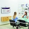 Braccio Per Monitor A Parete Fellowes 8043501 – Regolabile A Gas Per Schermi Fino A 42″ E 30kg – Con Sistema Ordinacavi