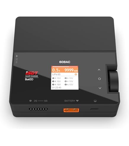 【新品】SKY RC D200 neo （X2 AC PLUS 800同等品） SKYRC D200 NEO AC/DC Multi-Function Smart Charger (6S/20A/AC