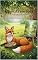 Livro A Raposa Pintora: livro 8 (Colecao Animais Aventureiros)
