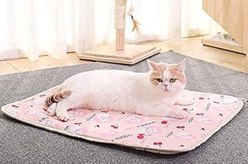 Amazon Co Jp ペット用 ホットカーペット 犬 猫 ヒーターマット 暖かい 冬 寒さ対策 過熱保護 噛み付き防止 カバー洗濯可能 C S スポーツ アウトドア