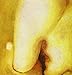 Pisces Iscariot primary