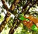 ALL PURPOSE FOLDING HAND SAWS - 17