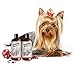 Sofee & Co. Natural Dog Puppy Conditioner - Moisturize Detangle Deodorize Condition Calm Soothe Soften Normal Dry Itchy Allergy Sensitive Skin. Prevent Mattes. 16 oz (Pomegranate)