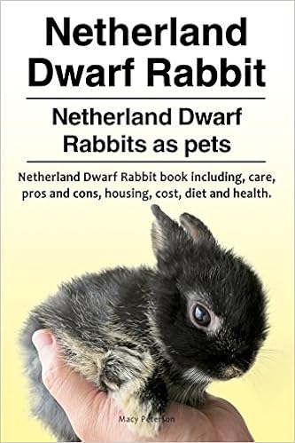 Netherland Dwarf Rabbit Netherland Dwarf Rabbits As Pets Netherland Dwarf Rabbit Book Including Pros And Cons Care Housing Cost Diet And Health Amazon Co Uk Peterson Macy 9781910861530 Books