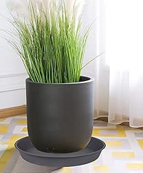 Bleuhome 6 Pack of 10 inch Plant Saucer Gray, Heavy