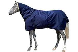DOCKMOOR Horse Blankets for Winter Waterproof 1200D Medium Weight (220g Fill) Horse Turnout Blanket with Neck Cover Leg Straps (US 78in / EU 145cm)