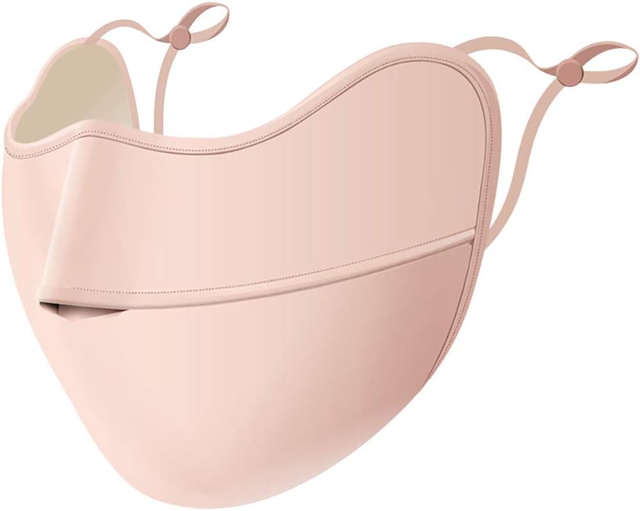 2 Pack Reusable Washable Face Mouth Másk Máscara, Double-Layer Dust-Proof PM2.5 Foggy Haze Pollution Máscara Adjustable Masque 口罩 Mouth Protection for Germs Virus Flu (Pink)