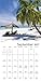 Paradise Wall Calendar (2017)