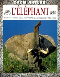 L' éléphant
