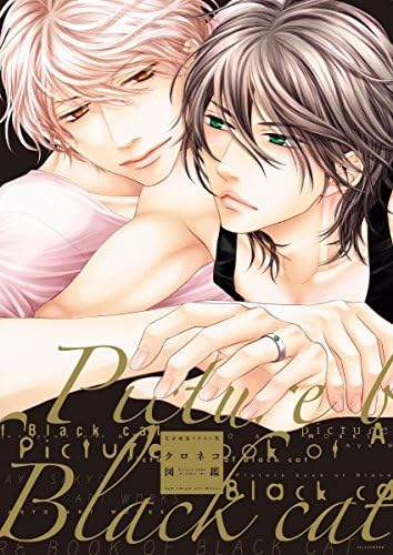 AYA SAKYO ART WORKS :: PICTURE BOOK of BLACK CAT 左京亜也イラスト集 クロネコ図鑑