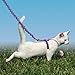 PetSafe Come with Me Kitty Harness and Bungee Leash, Medium, Lilac