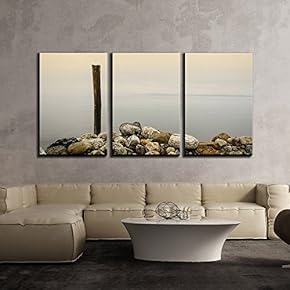 3 Piece Canvas Wall Art - Wood on The Stone Shore - Modern Home Art Stretched and Framed Ready to Hang - 16"x24"x3 Panels
