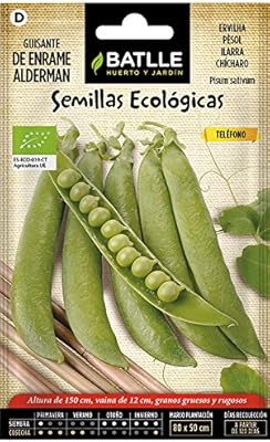 Semillas Ecológicas Leguminosas - Guisante de enrame Alderman ...