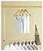 Heavy Duty Adjustable Closet Doubler - Closet Rod Hanger Doubles Closet Space and Now Stores Accessories- Purses, Handbags, Scarves