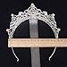 Eseres Pageant Crown Tall Tiaras for Women Wedding Queen Crown Prom Queen