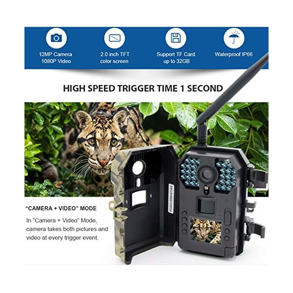 Tierkamera Wildkamera Fotofalle Jagdkamera Spielkameras Trail Wildlife Kamera 12MP 1080P HD Nachtsicht 2 '' LCD Display… – Bild 4