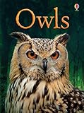 Owls (Usborne Beginners)