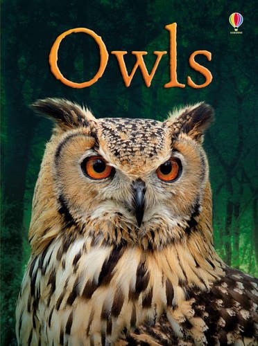 Owls (Usborne Beginners)