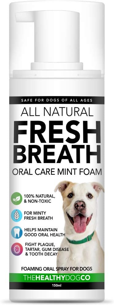 natural mouthwash for dogs