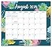 Orange Circle Studio 2019 Magnetic Monthly Calendar Pad, August 2018 - December 2019, Succulent Paradise
